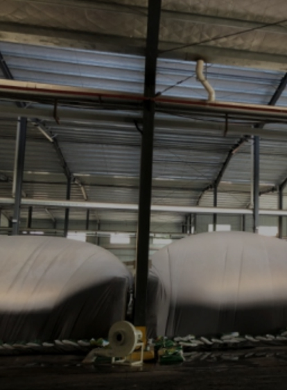 PP电子游戏(中国集团)官方网站